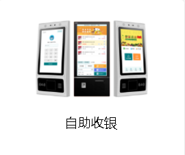 玛狮自助收银软件